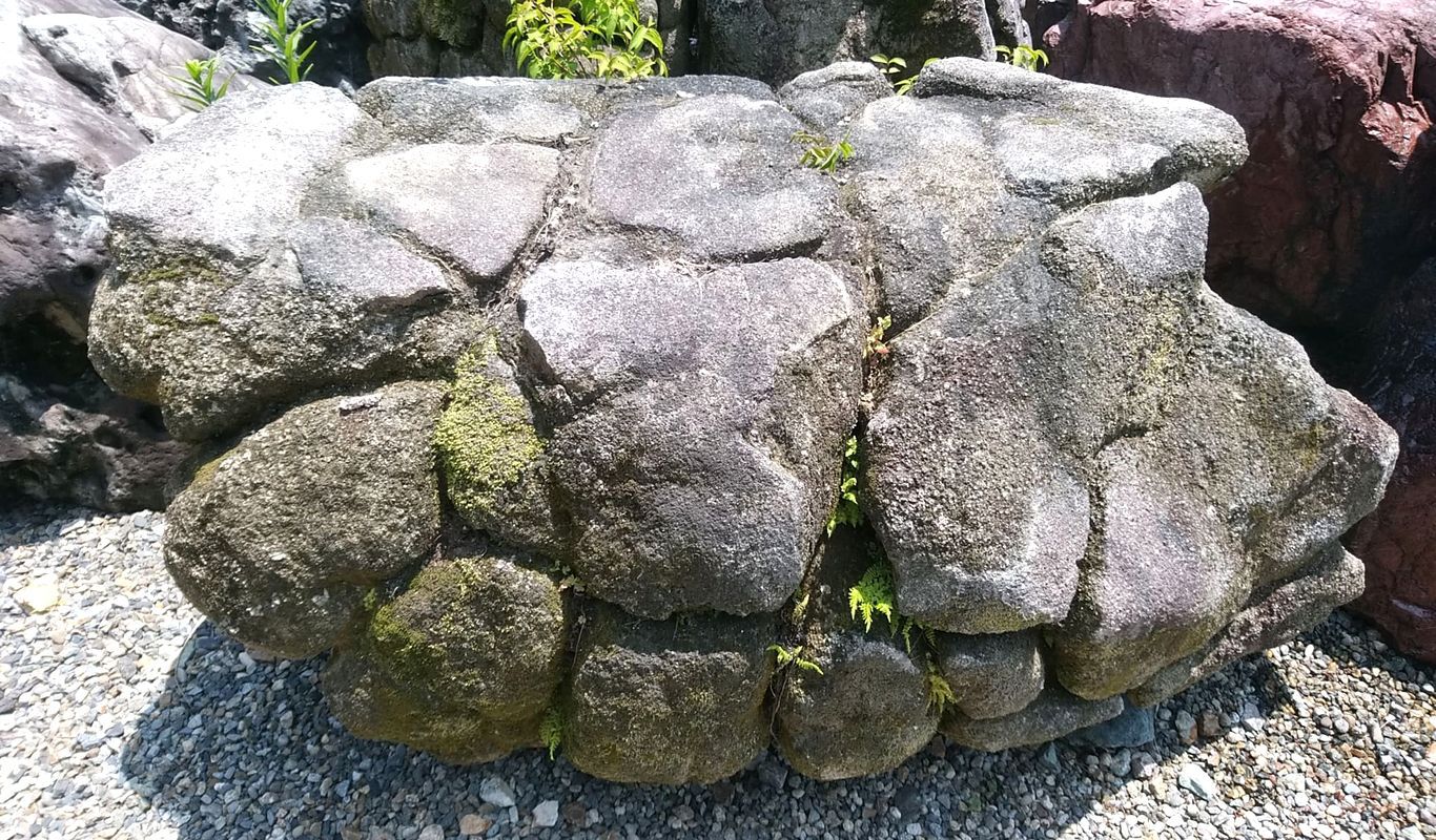 亀甲石 - 亀甲状の溝が刻まれた幾何学模様の造形美が特長の庭石