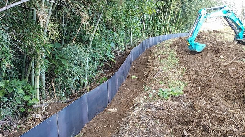 Weeding & Bamboo Rooting Work 2