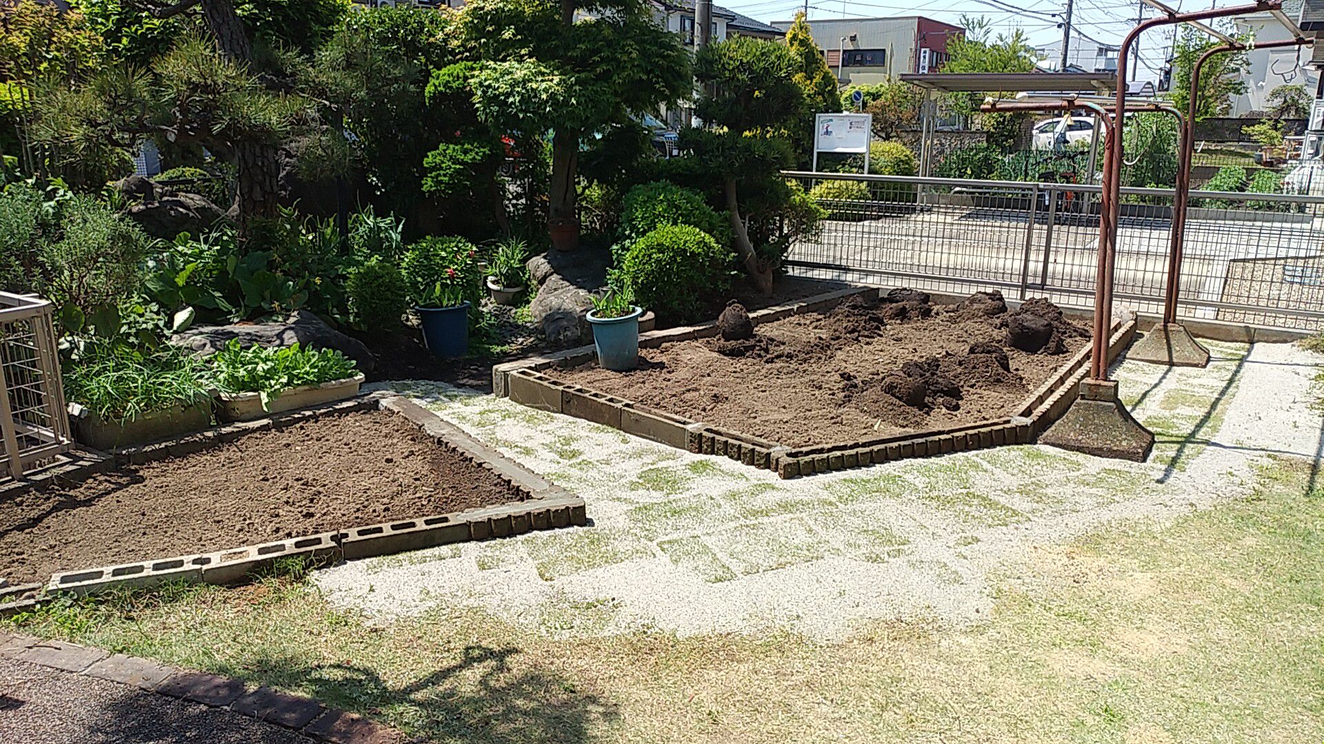 new vegetable garden