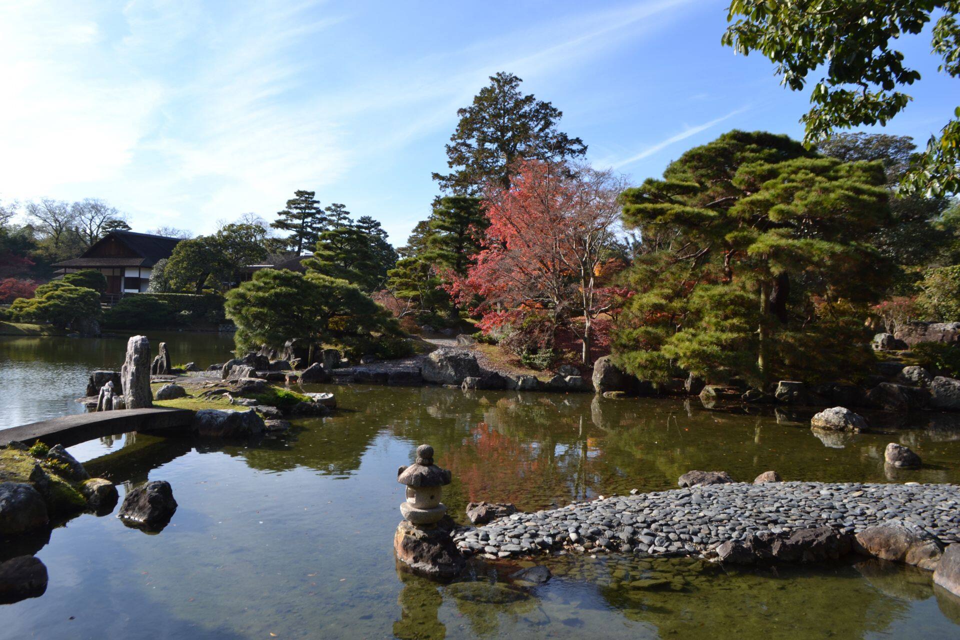 Suhama and Misaki Toro at katsurarikyurikyu