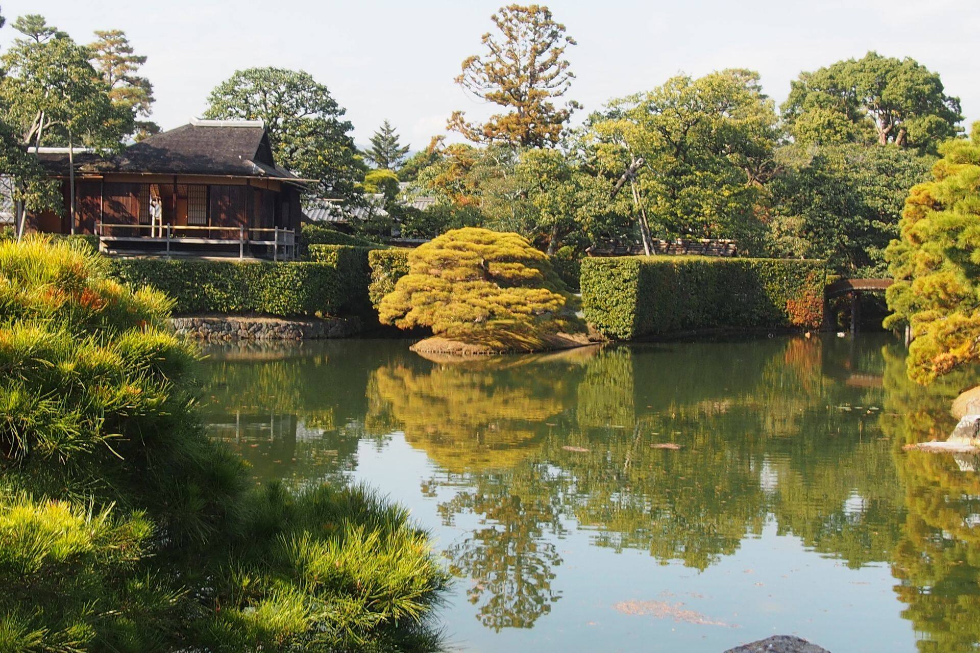 Beautiful scene of katsurarikyurikyu