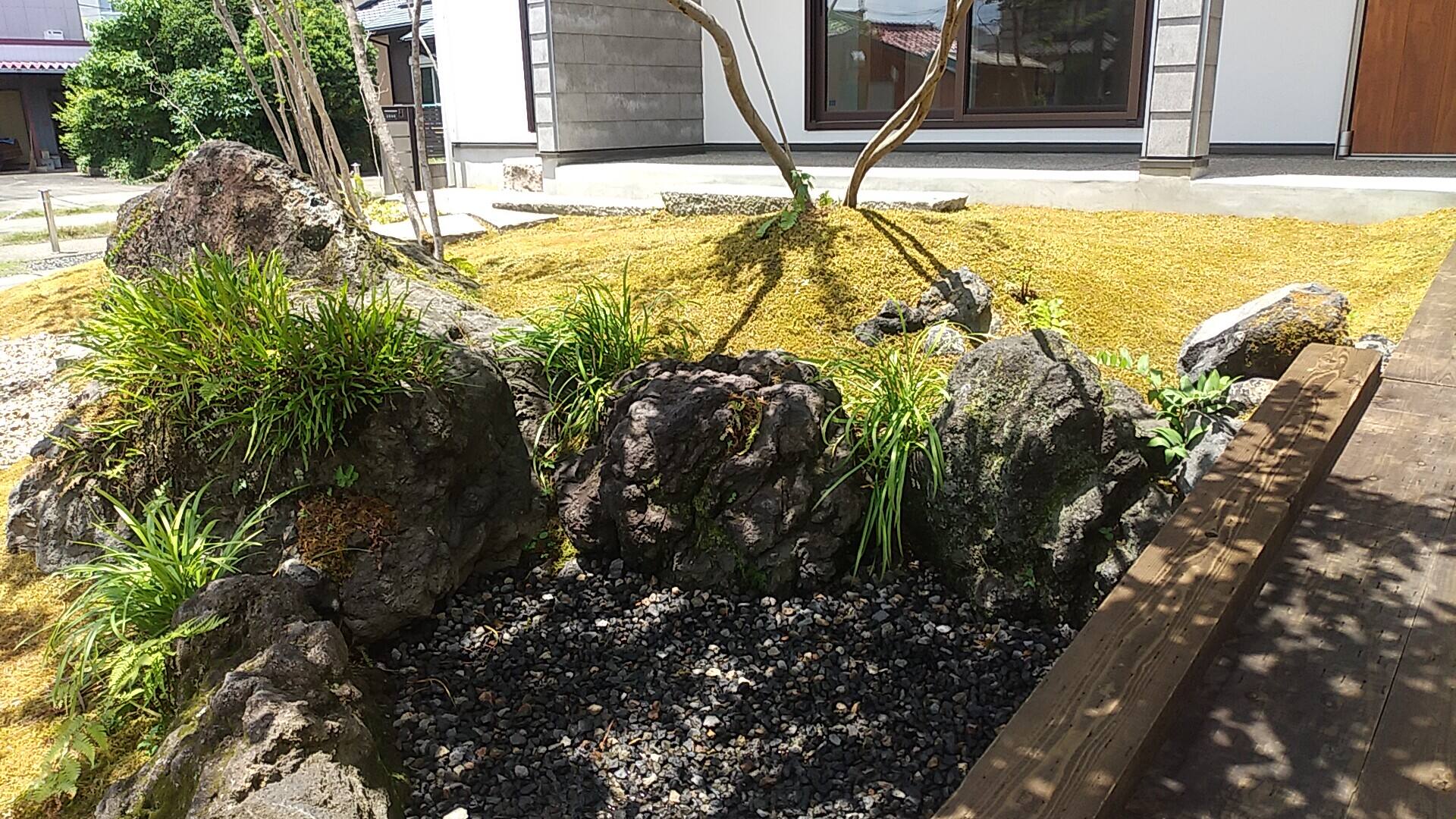 Beautiful landscape where moss, ground cover, and natural stones harmonize to suppress weeds