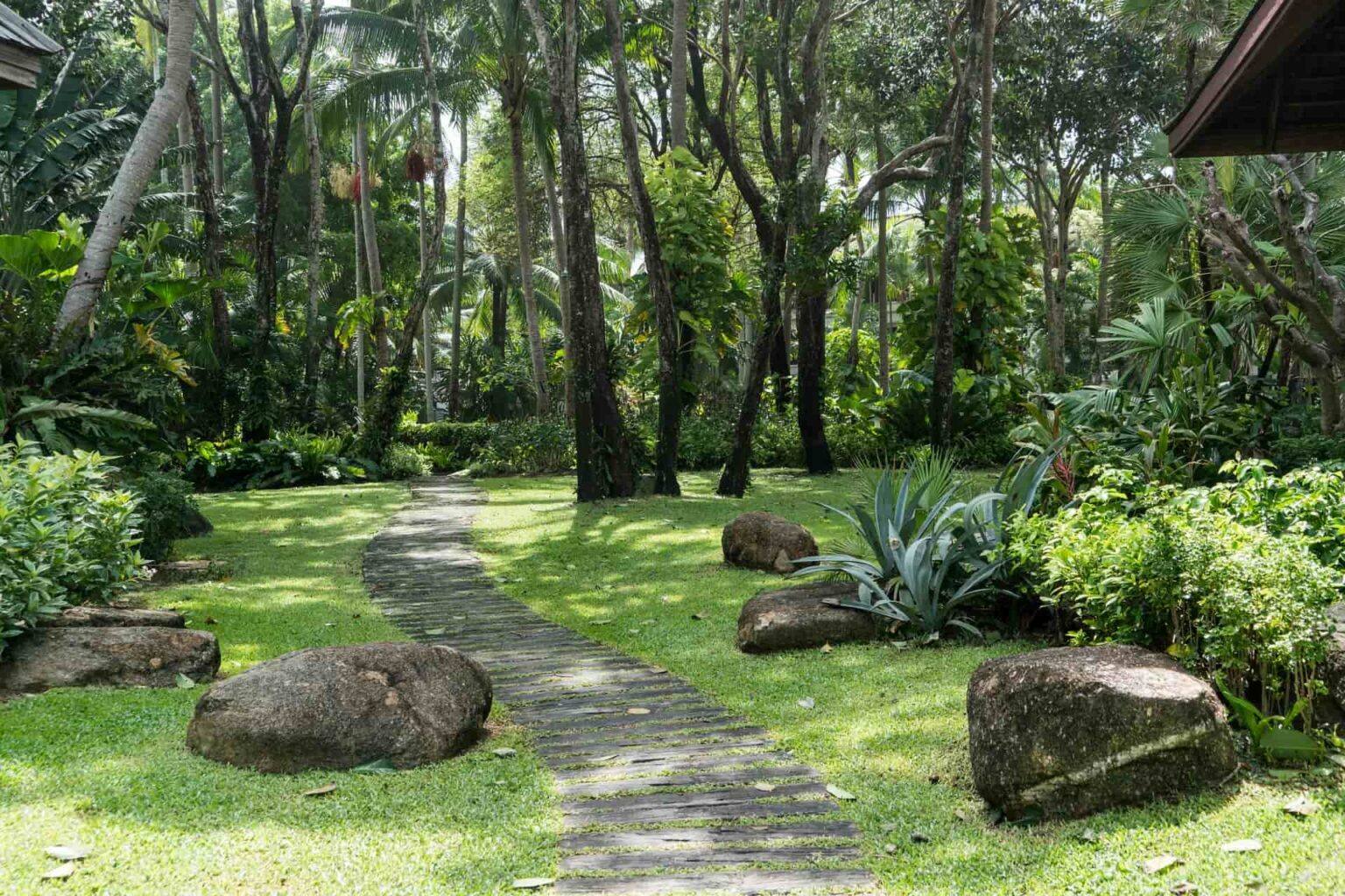 Fresh tropical rainforest-style garden with dark green plantings and round garden stones