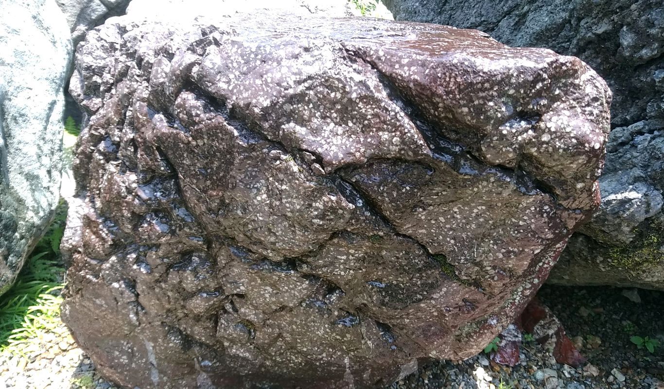 蛍石 - 紫雲石に入った斑点が蛍の舞いのように見える銘石の庭石