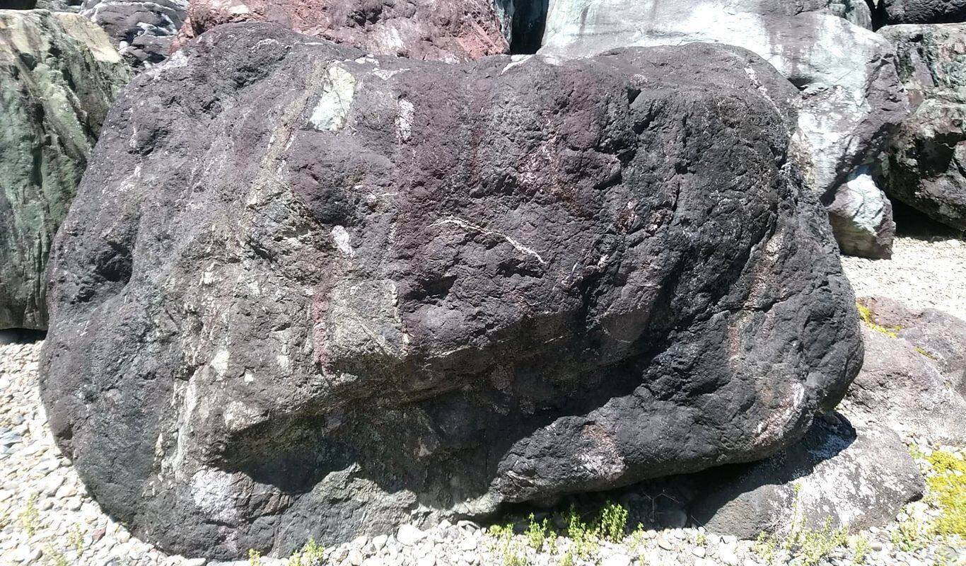 紫雲石 - 落ち着いた深紫の庭石は濡れた状態で光沢紫に変化