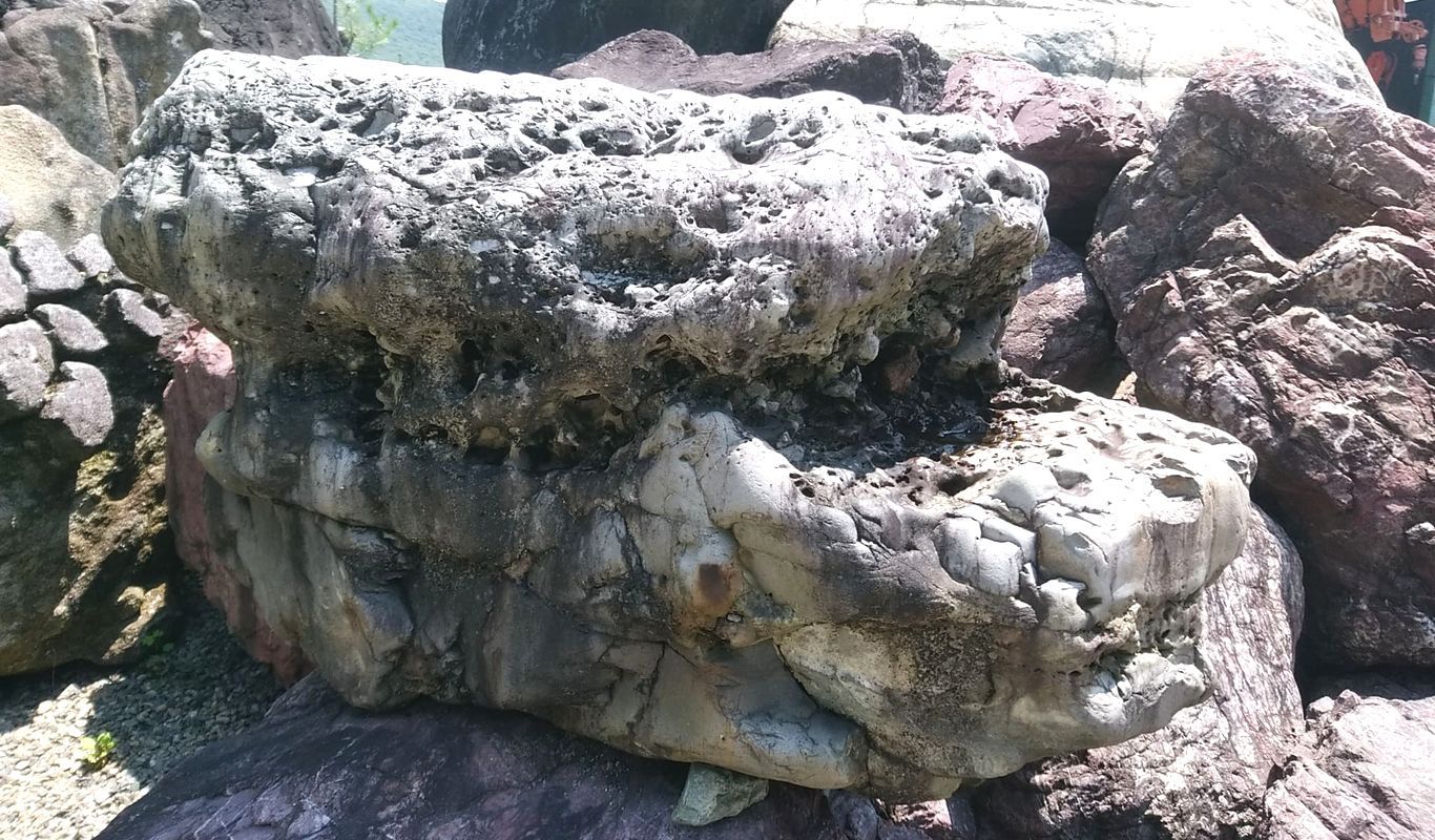 虫食い石 - 奇異で変化に富む姿形が人の目を惹く飾り石の庭石