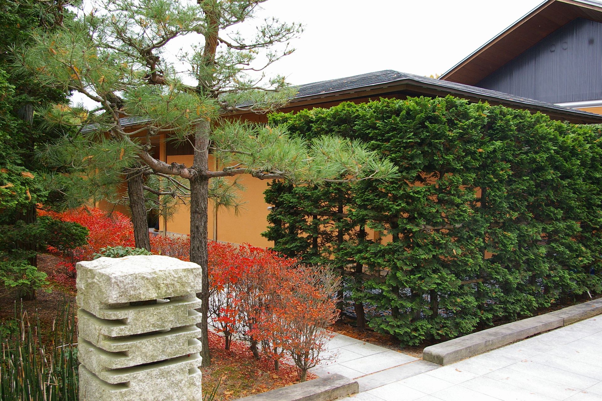 日本庭園の家屋に合わせた生垣